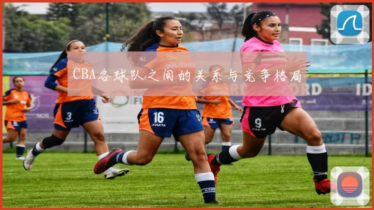 CBA各球队之间的关系与竞争格局