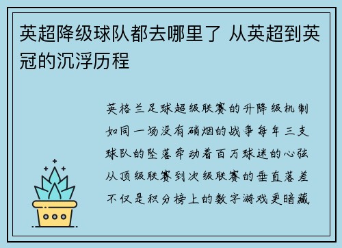 英超降级球队都去哪里了 从英超到英冠的沉浮历程